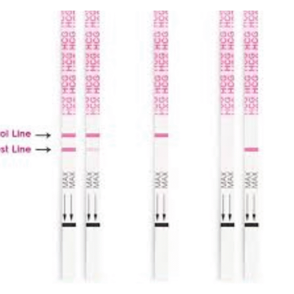PREGNANCY STRIPS TEST PREGNANCY STRIPS TEST