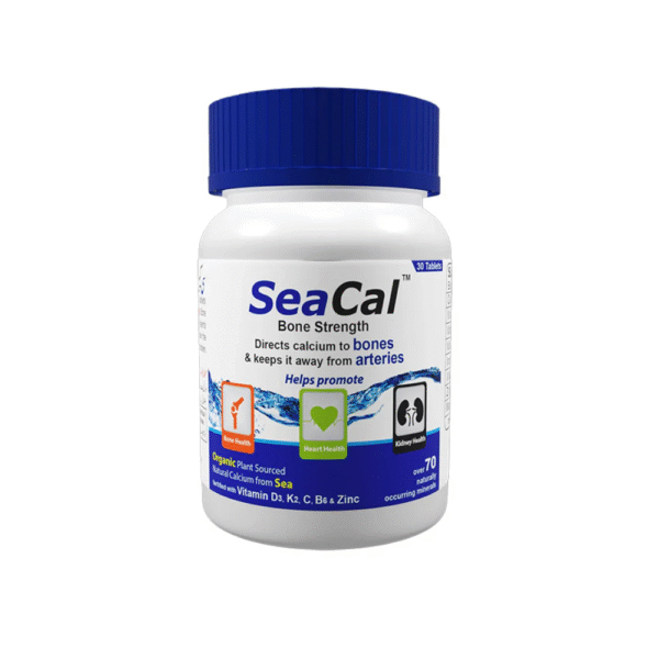 Untitled design - 2025-09-19T210404.229