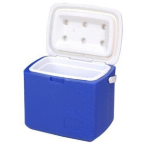 INSULIN ICE BOX
